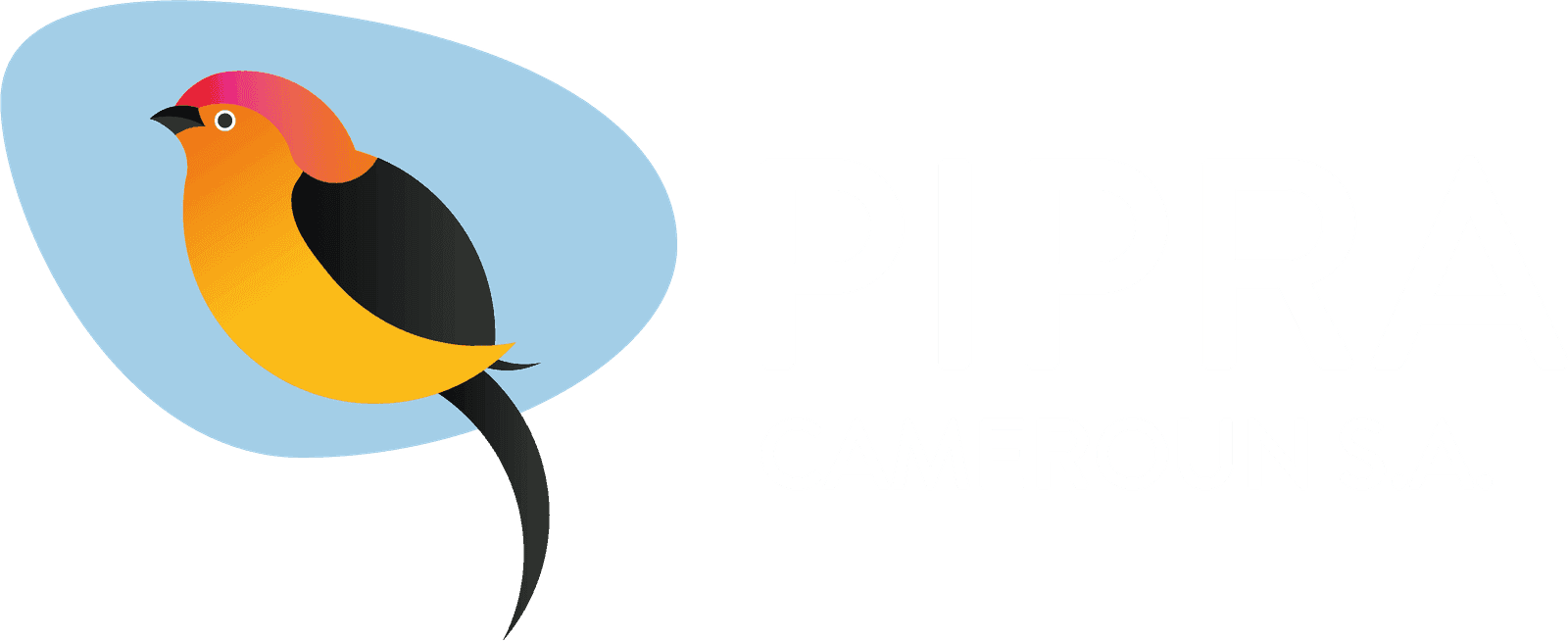PIPRA Cameroun S.A.
